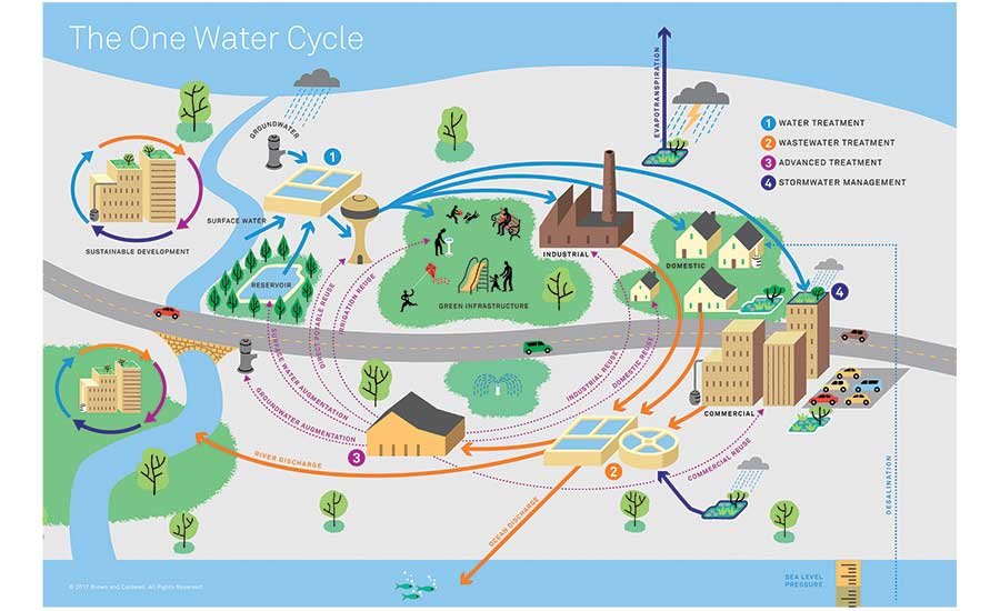 Holistic Water Cycle Model