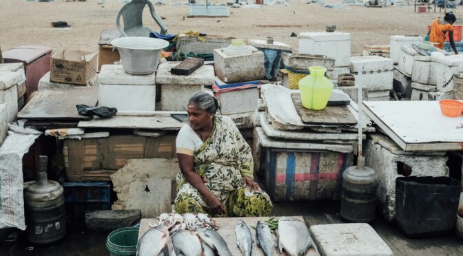 a fisherwoman selling fishes in an open market