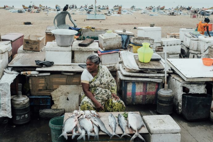 a fisherwoman selling fishes in an open market